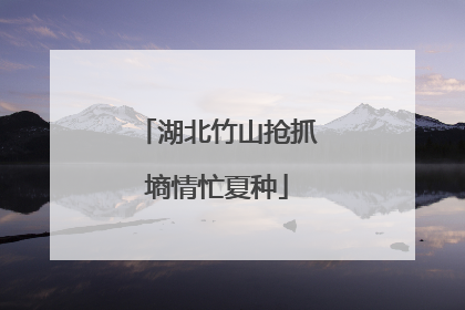 湖北竹山抢抓墒情忙夏种