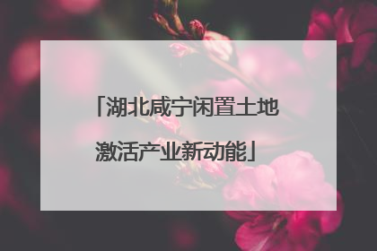 湖北咸宁闲置土地激活产业新动能