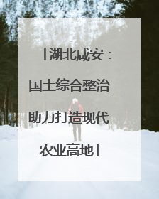 湖北咸安：国土综合整治助力打造现代农业高地