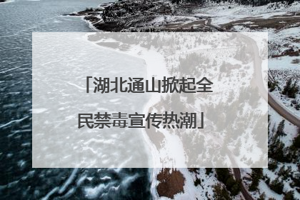 湖北通山掀起全民禁毒宣传热潮