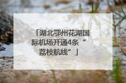 湖北鄂州花湖国际机场开通4条“荔枝航线”