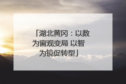 湖北黄冈：以数为窗观变局 以智为镜促转型