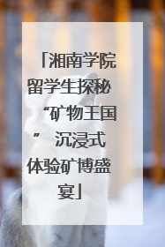 湘南学院留学生探秘“矿物王国” 沉浸式体验矿博盛宴