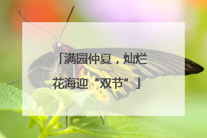 满园仲夏，灿烂花海迎“双节”