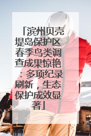 滨州贝壳堤岛保护区春季鸟类调查成果惊艳：多项纪录刷新，生态保护成效显著