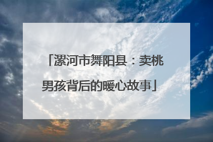 漯河市舞阳县：卖桃男孩背后的暖心故事