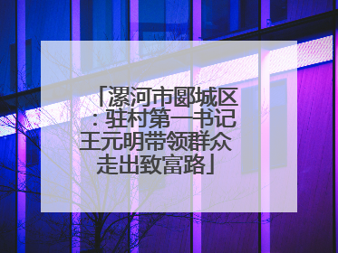 漯河市郾城区：驻村第一书记王元明带领群众走出致富路