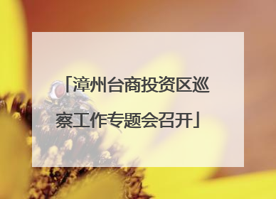 漳州台商投资区巡察工作专题会召开