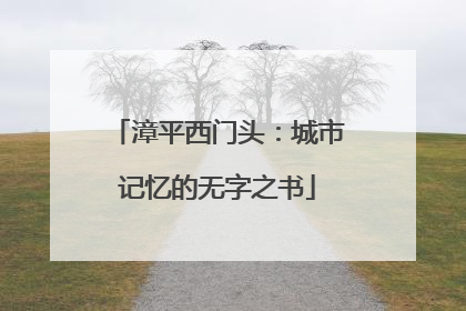 漳平西门头：城市记忆的无字之书