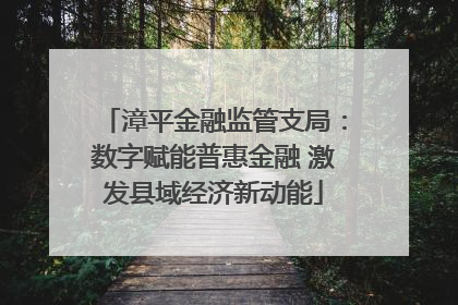 漳平金融监管支局：数字赋能普惠金融 激发县域经济新动能