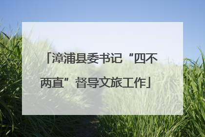 漳浦县委书记“四不两直”督导文旅工作