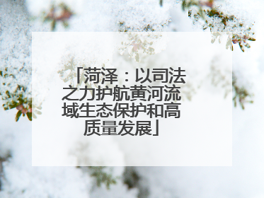 菏泽：以司法之力护航黄河流域生态保护和高质量发展