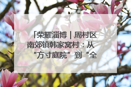 荣耀淄博｜周村区南郊镇韩家窝村：从“方寸庭院”到“全域文明”，乡村振兴的“美学革命”