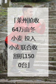 莱州抢收64万亩冬小麦 投入小麦联合收割机1500台