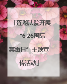 莲湖法院开展“6·26国际禁毒日”主题宣传活动