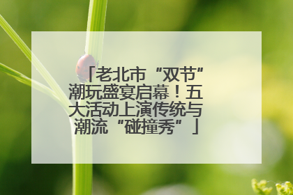 老北市“双节”潮玩盛宴启幕！五大活动上演传统与潮流“碰撞秀”