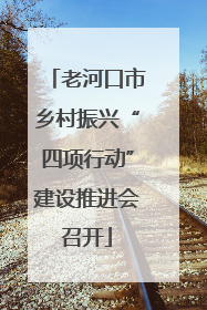 老河口市乡村振兴“四项行动”建设推进会召开