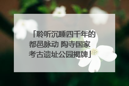 聆听沉睡四千年的都邑脉动 陶寺国家考古遗址公园揭牌