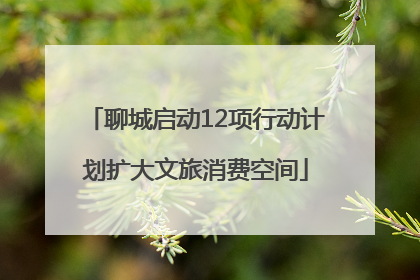 聊城启动12项行动计划扩大文旅消费空间