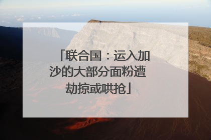 联合国：运入加沙的大部分面粉遭劫掠或哄抢
