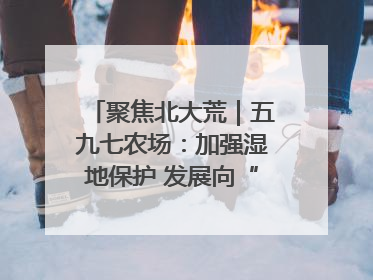 聚焦北大荒｜五九七农场：加强湿地保护 发展向“绿”而行