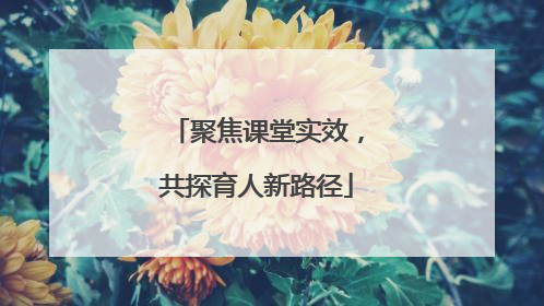 聚焦课堂实效，共探育人新路径
