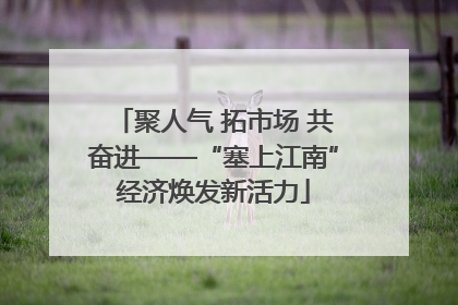 聚人气 拓市场 共奋进——“塞上江南”经济焕发新活力
