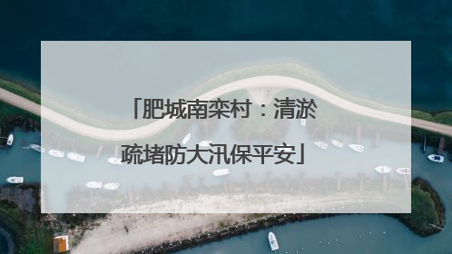 肥城南栾村：清淤疏堵防大汛保平安