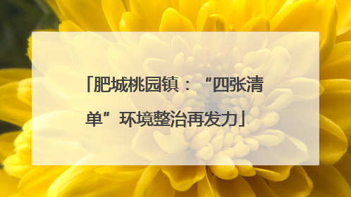 肥城桃园镇：“四张清单”环境整治再发力