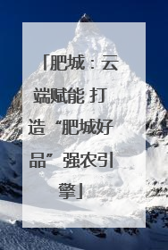 肥城：云端赋能 打造“肥城好品”强农引擎