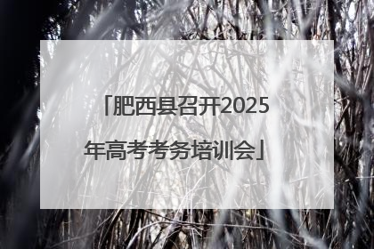 肥西县召开2025年高考考务培训会