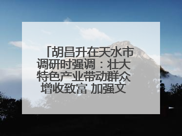 胡昌升在天水市调研时强调：壮大特色产业带动群众增收致富 加强文物保护推动文化创新发展
