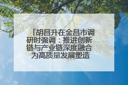 胡昌升在金昌市调研时强调：推进创新链与产业链深度融合 为高质量发展塑造新动能新优势