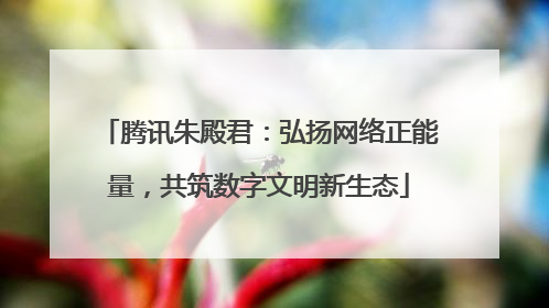腾讯朱殿君：弘扬网络正能量，共筑数字文明新生态