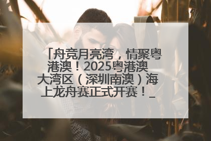 舟竞月亮湾，情聚粤港澳！2025粤港澳大湾区（深圳南澳）海上龙舟赛正式开赛！_深圳新闻网