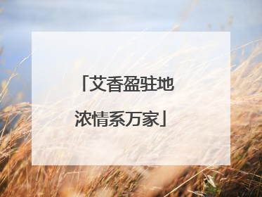 艾香盈驻地 浓情系万家