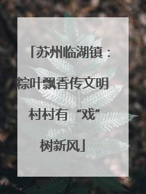 苏州临湖镇：粽叶飘香传文明 村村有“戏”树新风
