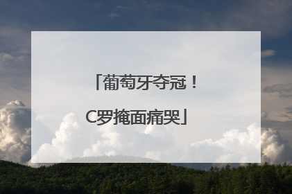 葡萄牙夺冠！C罗掩面痛哭