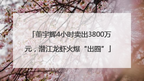 董宇辉4小时卖出3800万元，潜江龙虾火爆“出圈”