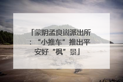 蒙阴孟良崮派出所：“小推车”推出平安好“枫”景