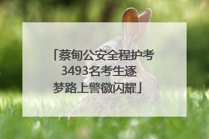 蔡甸公安全程护考 3493名考生逐梦路上警徽闪耀
