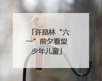 许昆林“六一”前夕看望少年儿童