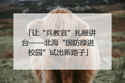 让“兵教官”扎根讲台——北海“国防绿进校园”试出新路子