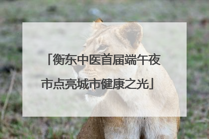 衡东中医首届端午夜市点亮城市健康之光