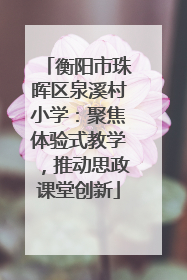 衡阳市珠晖区泉溪村小学：聚焦体验式教学，推动思政课堂创新