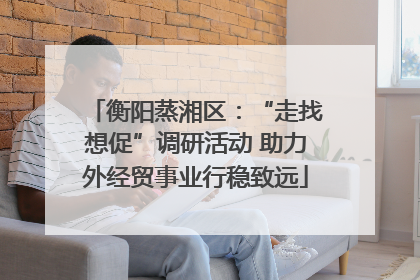 衡阳蒸湘区：“走找想促”调研活动 助力外经贸事业行稳致远