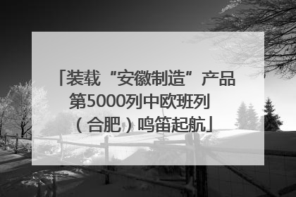 装载“安徽制造”产品 第5000列中欧班列（合肥）鸣笛起航