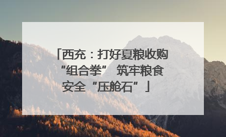 西充：打好夏粮收购“组合拳” 筑牢粮食安全“压舱石”
