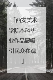 西安美术学院本科毕业作品展吸引民众参观