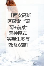 西安高新区探索“葡萄+蔬菜”套种模式 实现生态与效益双赢